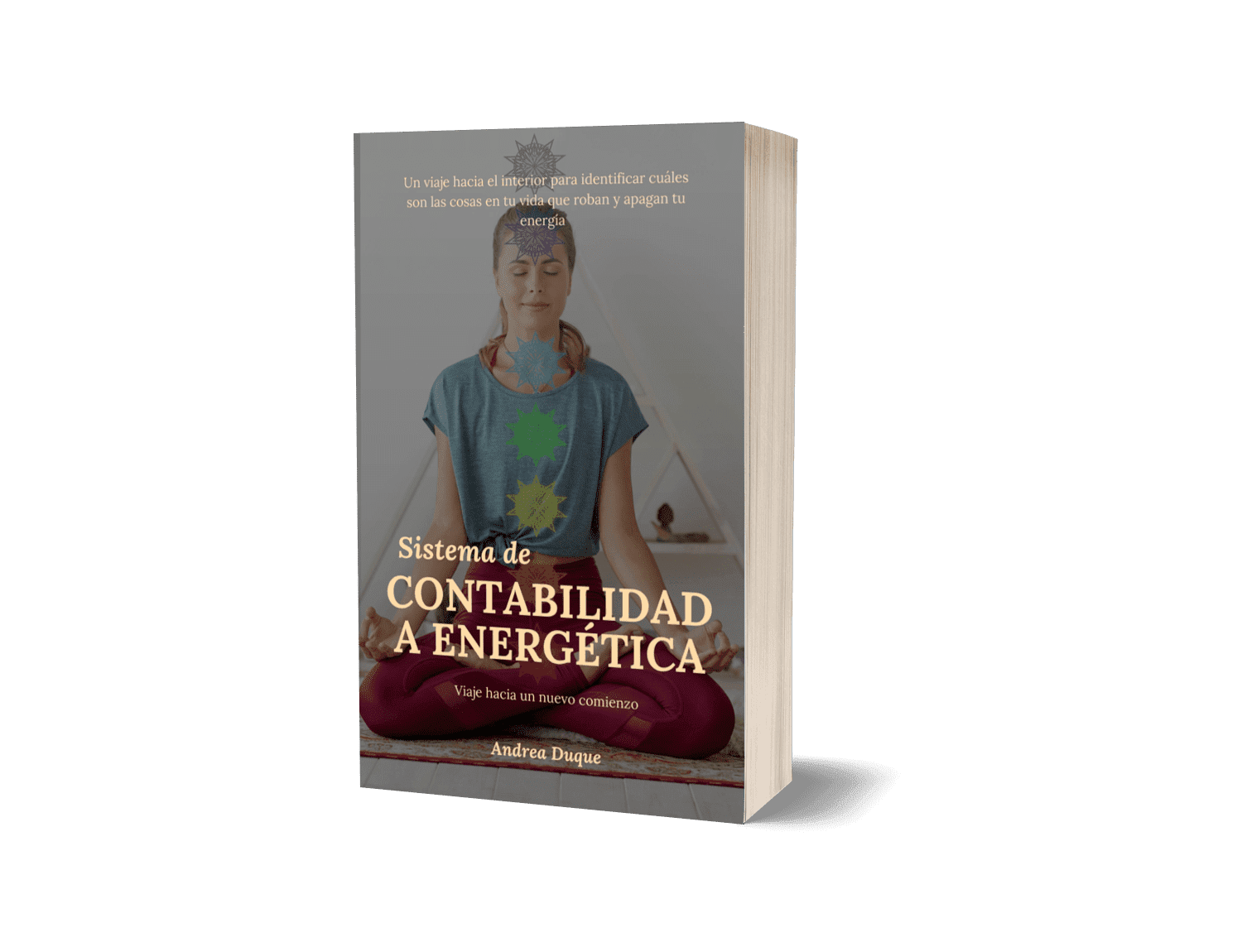 sistema-contabilidad-energetica